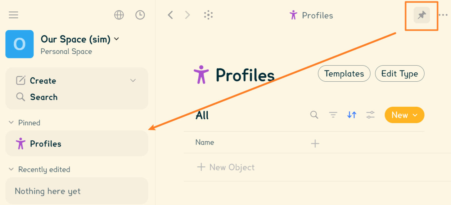 Pinning a type displays it on top of the side bar.